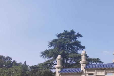 明孝陵有塔吗