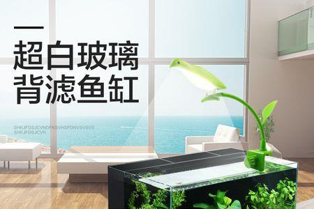 40方缸背滤过滤棉堵了会跑水吗