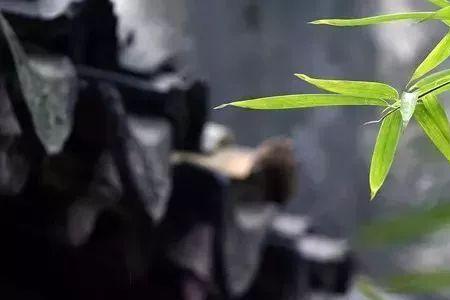 柴房草木深是哪首诗