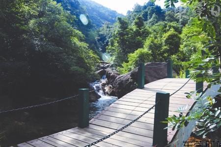 东莞九洞山森林公园的来历