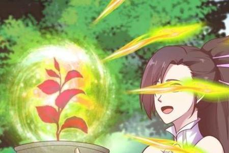 武炼巅峰太阳烛照和太阴幽影