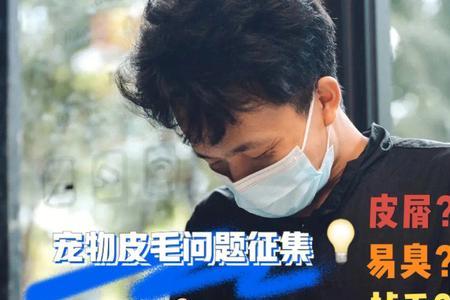 什么的皮毛动词