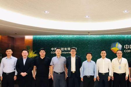 中粮资本科技有限公司怎么样