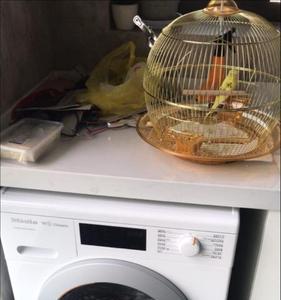 西门子iq300烘干机故障一览