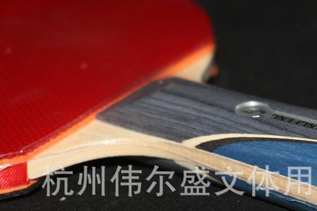 直拍和横拍哪个是长的