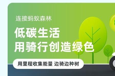 哈啰为啥叫棒途