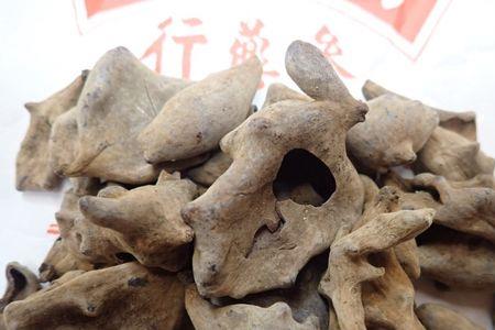 五倍子里面的虫子怎么进去的