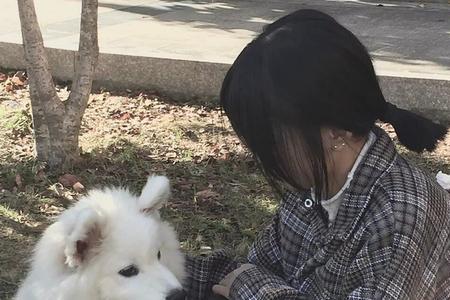 女生抱狗狗如何评论