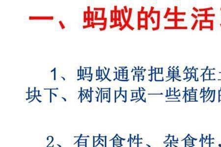 蚁王是好的还是坏的