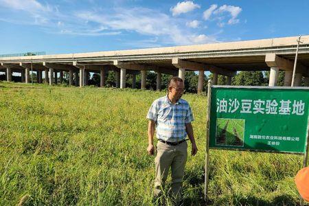 哪个上市公司产油沙豆油