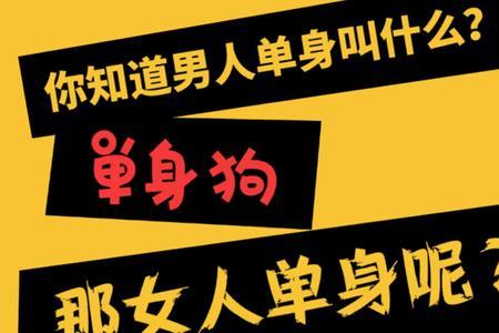 有钱单身男叫什么