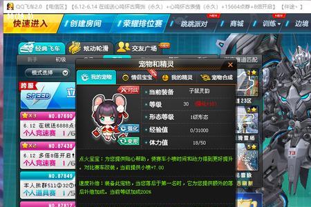 驭龙雷诺建议带哪个宠物