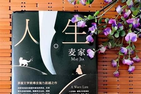 人生海海上校为什么喜欢猫