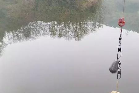 如何钓鲤鱼上钩快海竿