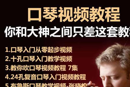 口琴10孔和24孔哪个好学