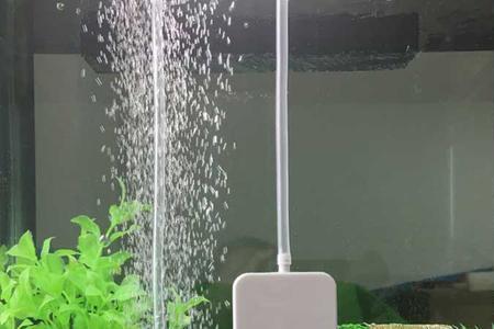 鱼缸增氧泵能洗澡用
