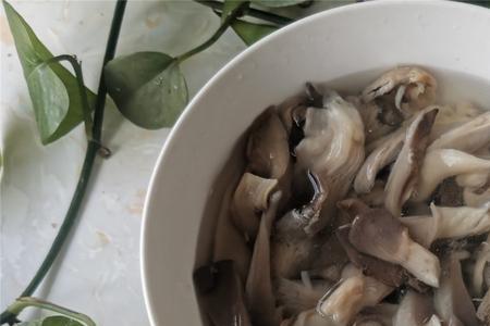 平菇做汤要不要焯水