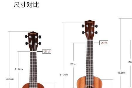 尤克里里可以上飞机吗