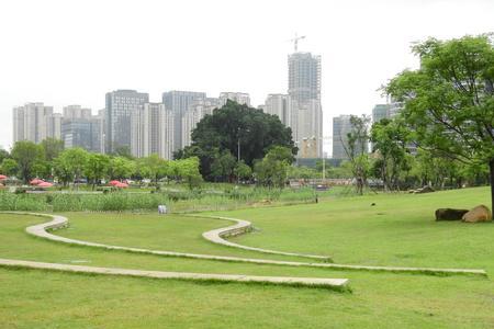 生态公园为什么叫生态公园