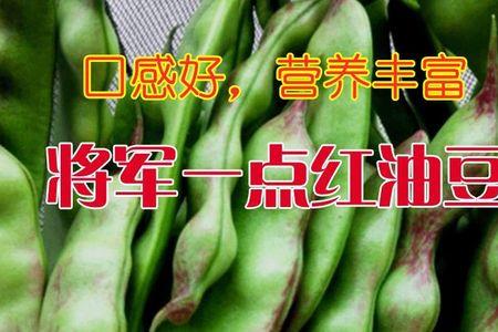 做油豆酱一斤豆多少油和盐