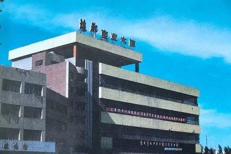 金昌以前叫什么