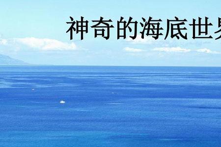 神奇的海洋的特点