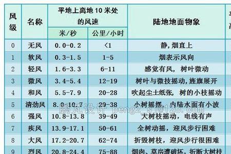 长19米宽12米等于多少分地