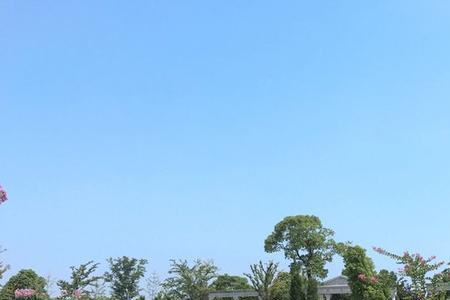上海福寿园公墓开放吗
