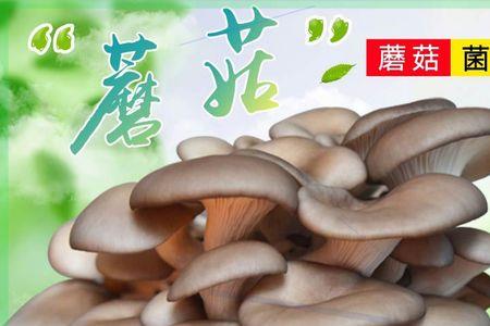 自己买菌种种蘑菇能吃几次
