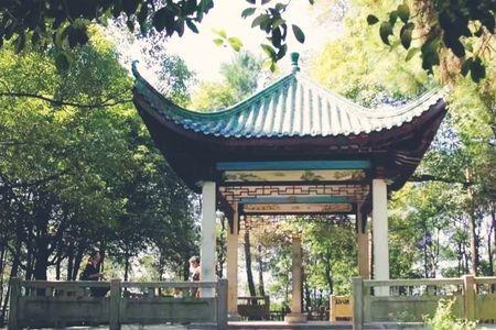 罗星公园早晨几点开始跳原唱