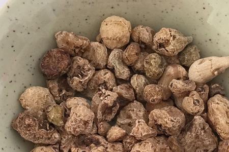 慈菇是蘑菇吗
