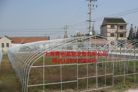 45米棚六米棚肩高多少