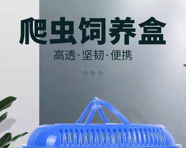 自制蜗牛窝