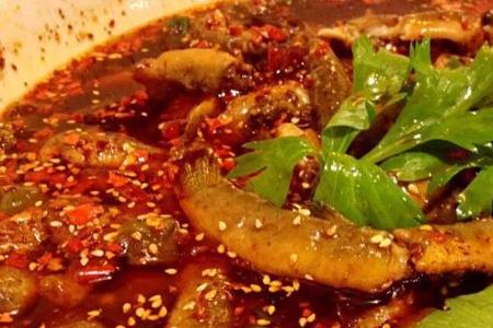 自贡仔姜泥鳅正宗做法