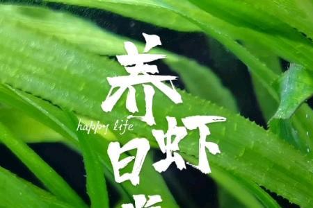 鱼虾什么季节生长