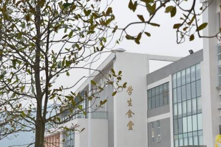 重庆商务职业学院是几本学校