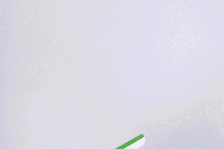 石家庄轻喜到家保洁员好干吗