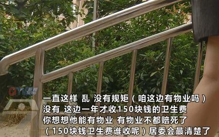 青岛瑞兴物业怎么样