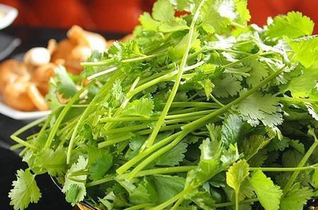 香菜末还是香菜沫