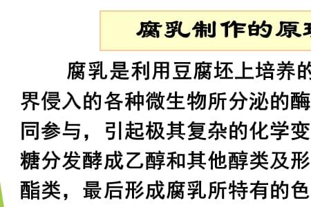 制作腐乳需要酵母菌吗
