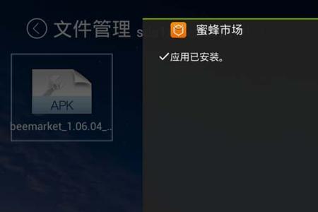 电视下载的软件打不开