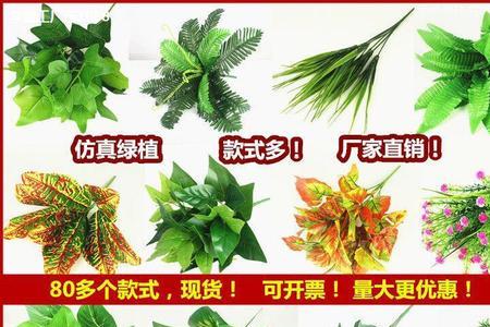 绿萝叶手工贴画