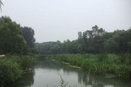 妫水河森林公园有几个入口