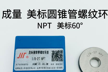 npt1表示什么意思