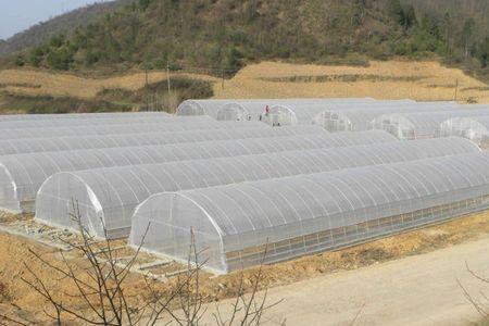 农村室外大棚建造方法