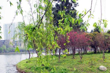 菱角湖为什么叫菱角湖