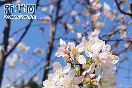3月的意义