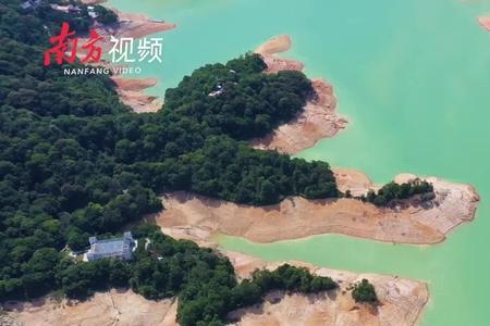 万绿湖水位以什么为标准