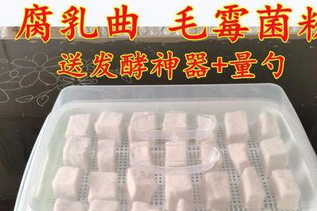 豆腐长毛是什么菌