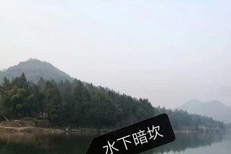 重庆南岸哪里时候钓谷麦